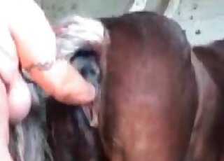 Deep fisting with a farm animal