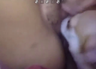 Dog licking that teen's vag up and down today