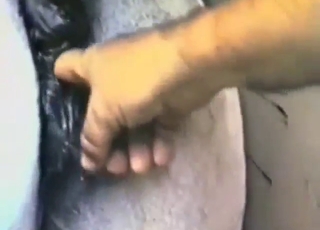 Hot mare fuck movie with a guy who gets crazy