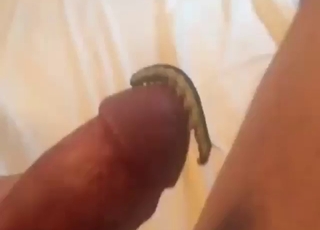 Nothing gets him going quite like those worms