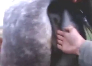Mare pussy as awesome as this needs gape