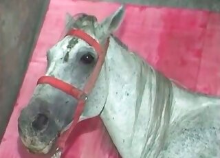 Curly-haired chick begging for a dick