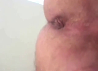 Anal zoo sex with a freshly enslaved dude