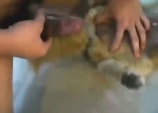 Nothing can stop a hard-dicked dog fucker