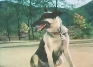 Hot beasts are going to get each other off