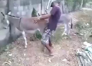 فتحة الحمار تتعرض للضرب من الخلف أيضًا