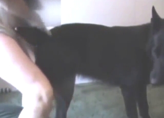Black dog's hot vag gets fucked from behind