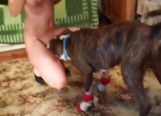 Masked brunette sucking cocks and fucking animals