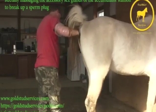 Dude fisting the living hella outta this animal