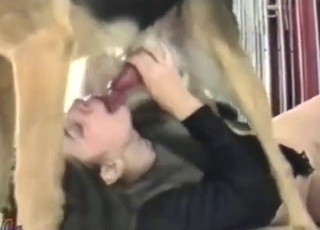 Adorable teen gets to enjoy jerking and fucking