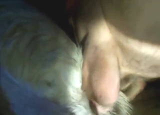 Lots of sexy moves with a goat vag gaped