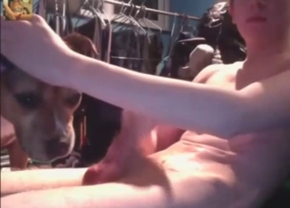 Teen with a hard peen fucks a gay dog orally