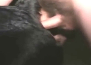 Rotty fuck with guy fucking that asshole up close