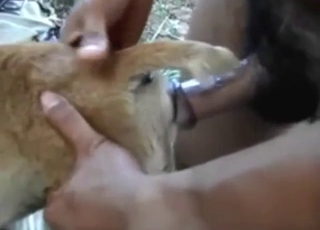 Thai dude fucking that tight dog asshole