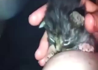 Tiny cat is sucking on those human breasts