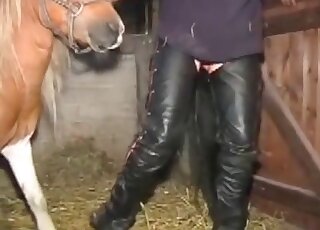 Leather-clad BBW MILF fucks a horse