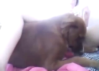Teenage girl with hot vag is enjoying dog licking