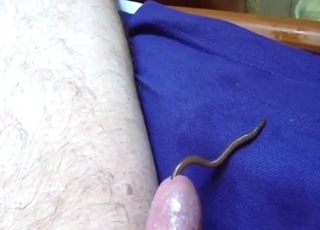 This worm will now live inside his juicy boner
