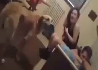 Fast climax for a horny teen who takes dog D