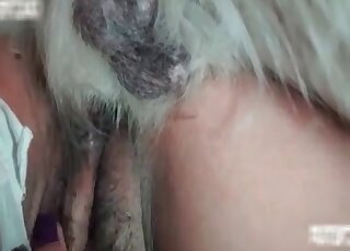 Kinky babe fucks a trained doggo