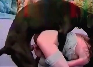 Perro negro follando este coño estirado