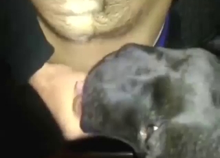 Dude has a slutty dog licking ALL over his boner