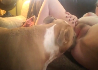 Dog wants to put its tongue inside that hole