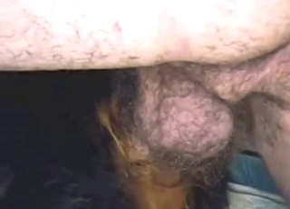 Good-looking guy is going to fuck that dog deep