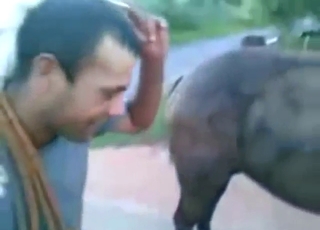 Dude wants to work on mare's sensitive boobies