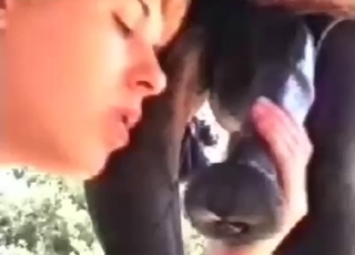 Horse-sucking whore is going to jerk, moan, cum