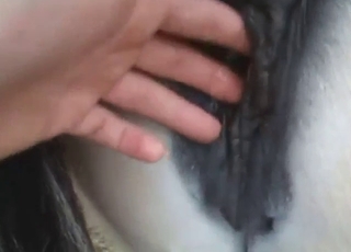 Fingering session for a sexy mare that moans