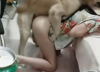 Bestiality porn with a girl from China looks GOOD