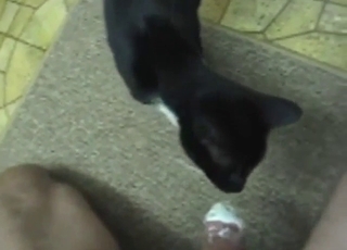 Hayvanat bahçesindeki seks sahnesinde iki kedi onun penisini yalıyor.