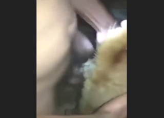 Zoo XXX with an Asian guy nutting in a dog's vag
