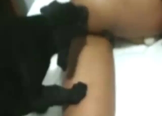 Dog is going to lick that tanned bombshell