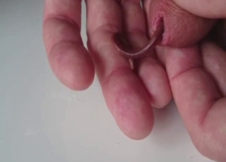 Worm now lives inside his cock, it's so happy