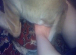 Fingering and teasing with a slutty-ass animal