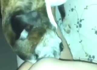 Great lick with a sexy beast who looks ready