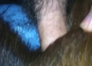 Brown fur beast is getting off with hard sex