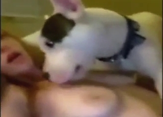 Big boobs zoophile teen has a dog to kiss