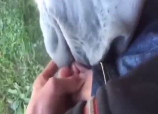 Mare tasting his hardness in a POV XXX movie