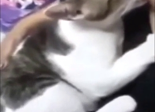 Kitty is going to demand that titty milk, why not