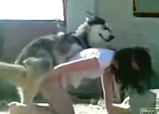 Doggystyle zoophile porn with a brunette babe