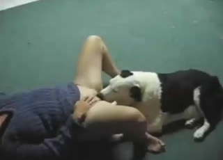 Dog puts its tongue inside her opened-up vag