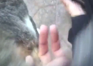 Fingering cat pussy to make it even wetter tho