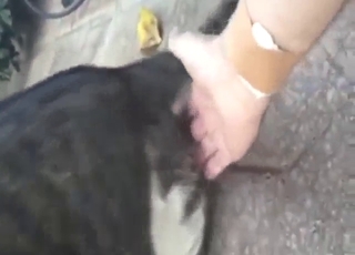 Fingering cat pussy to make it even wetter tho