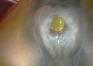 Zoophile scat fans will enjoy this one, a lot