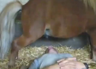 Pissing in the mouth in a pony porn movie HQ