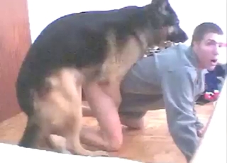 Moaning dude gets fucked by his favorite dog
