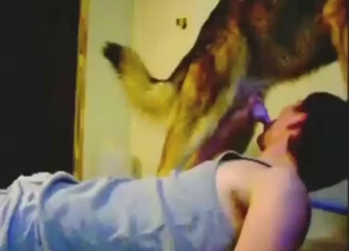 Bestiality sex scene with a guy who sucks dog
